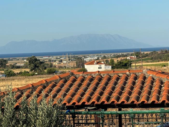 Greek Apartments DAV