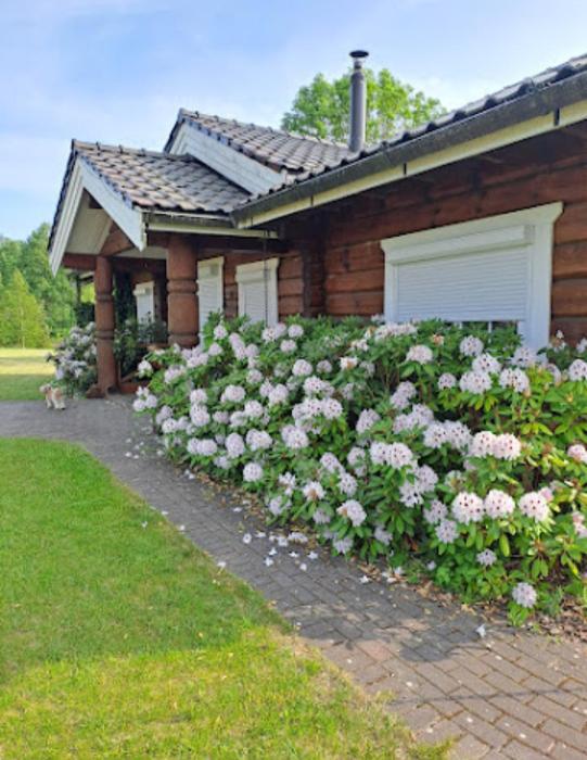 Balbieriškio vila