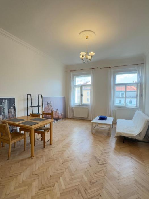 Bright and spacious apartment in the Vinohrady