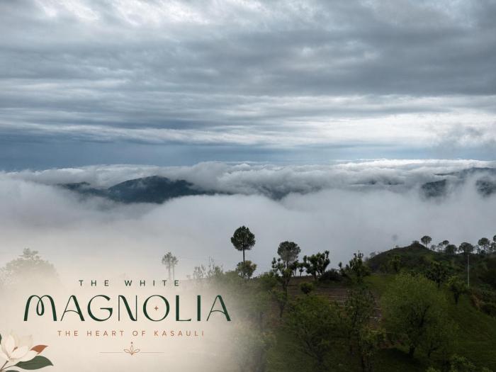 The White Magnolia Villa Kasauli