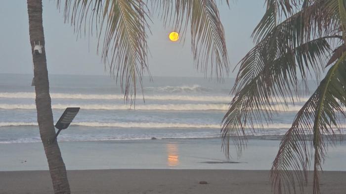 Beautiful beach house