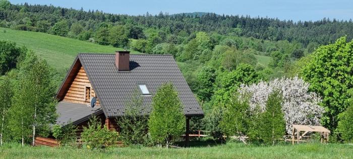 Domek w górach z jacuzzi