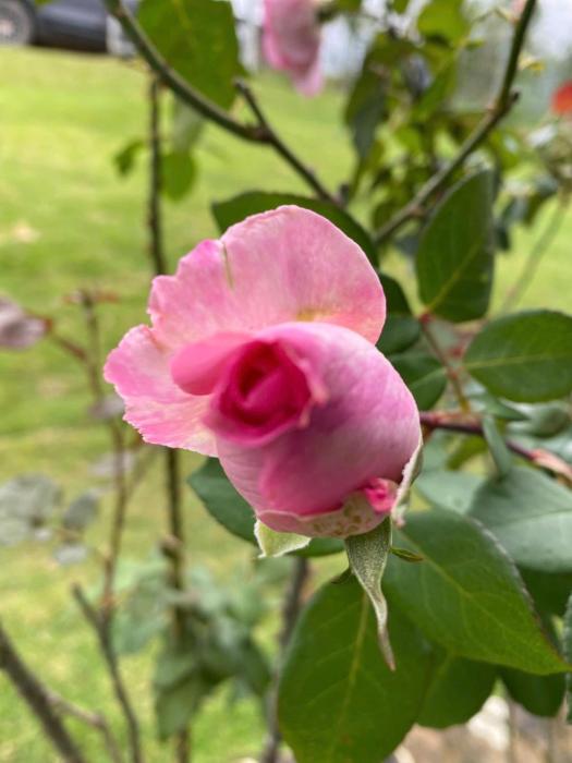 Cà Phê NGHINH Homestay INN