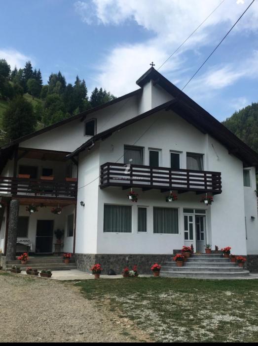 Roua Muntelui
