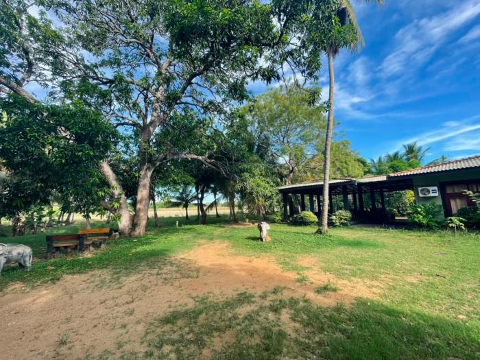 Wewlekam Safari Resort