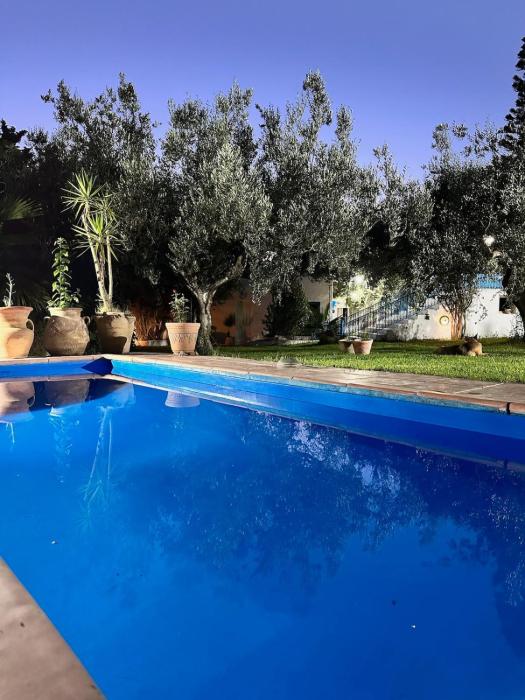 Viktoria Garden villa privée