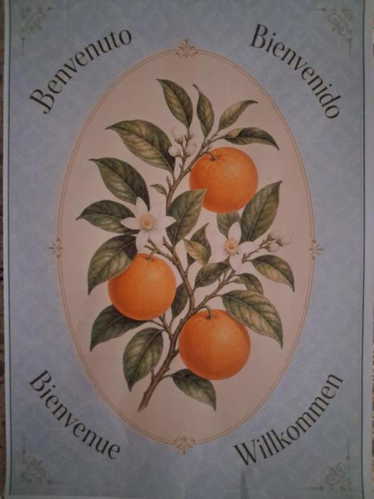 Casa Naranja