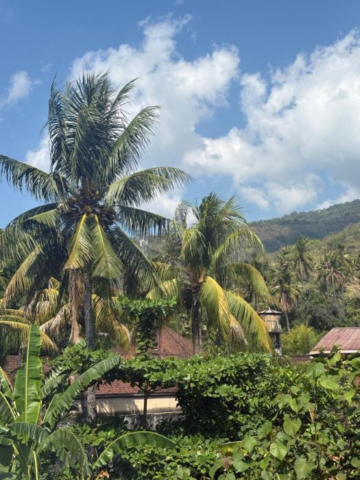 Ole Homestay