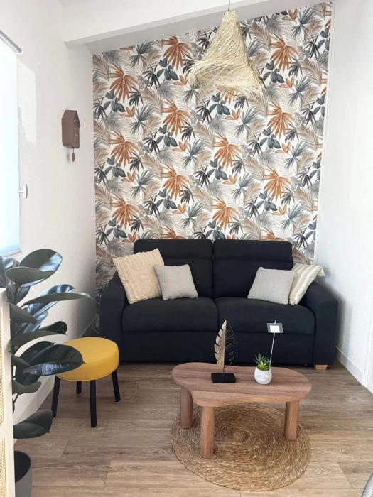 Appartement Agde 28 m² piscine