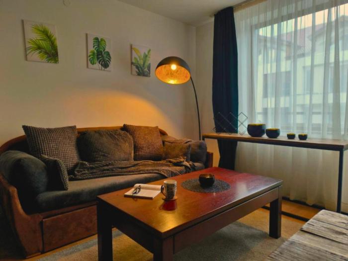 Botanique - Spacious 1BR, Terrace, Free Parking