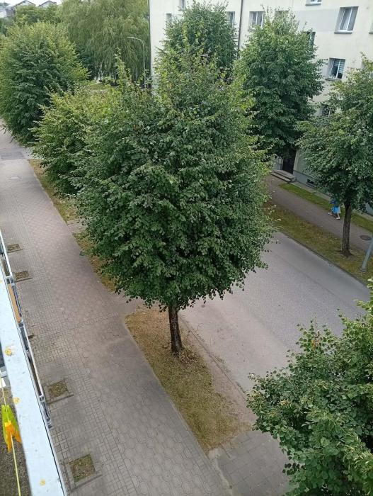 Jurmala apartment