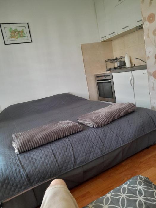 Apartman Petar Banja Koviljača