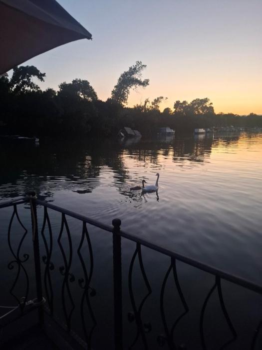 Vasilisa Luxury River House