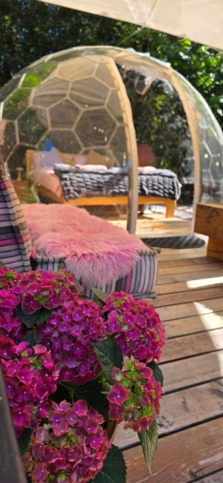 Glamping Dedovles Mliečna dráha