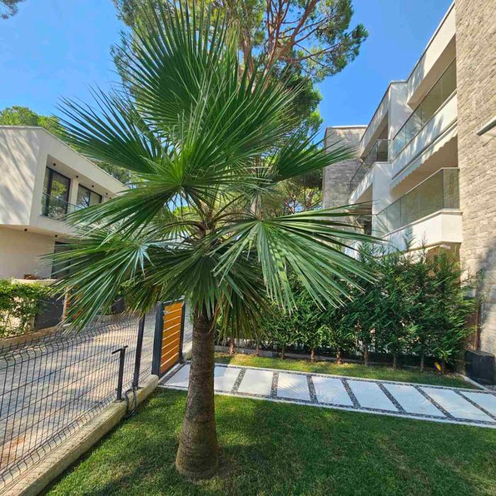 San Pietro - Premium Zone Corner Garden Apartment