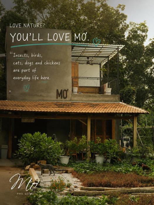 Mơ House Eco Homestay on hill