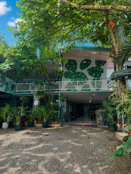 Red Frog Rooms