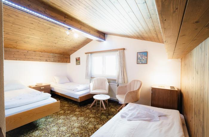 WEF and Ski Apartment