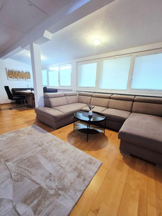 Apartma Društvena free private parking