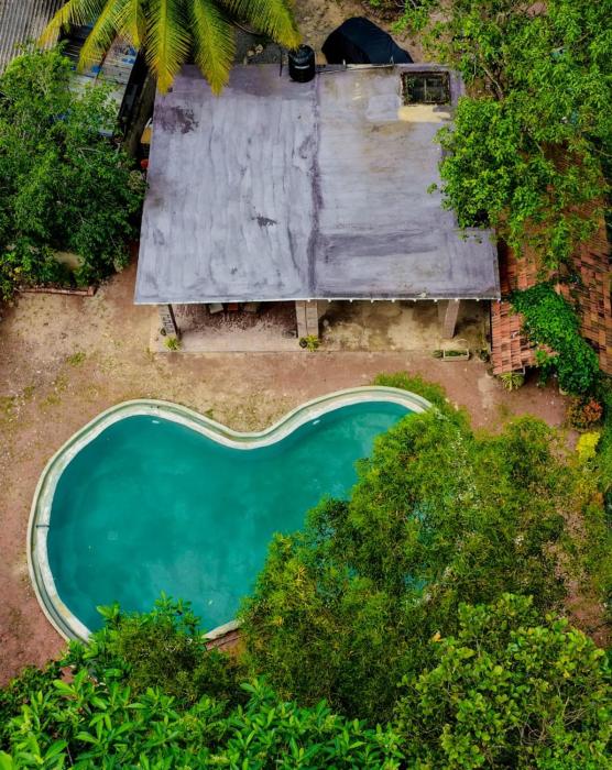 Transit jungle villa