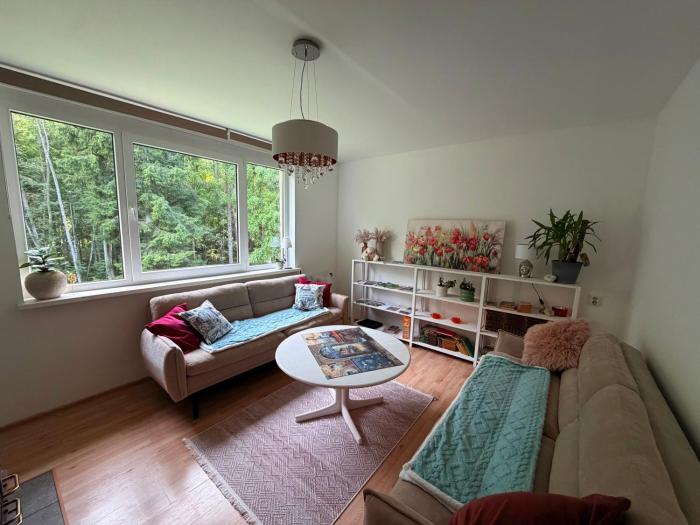 Apartment with sauna and fireplace