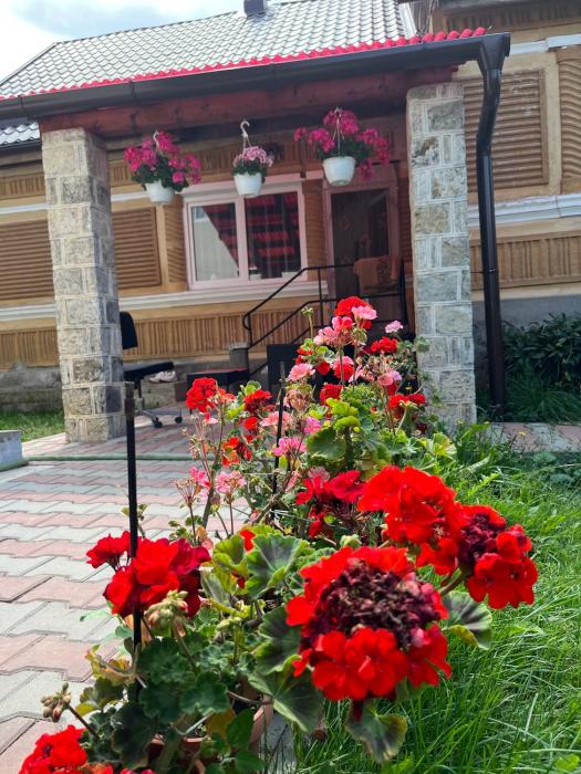 Casa traditionala Subcetate