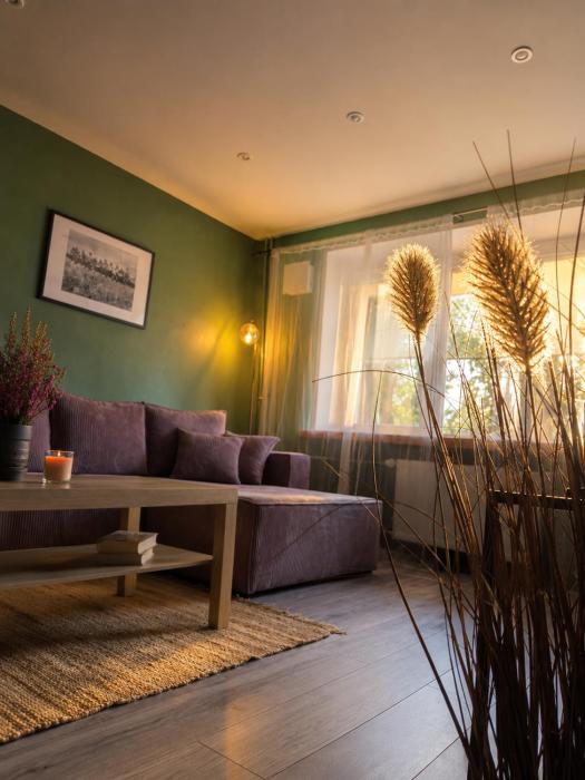Wolfinn Comfort Apartment Siauliai Center