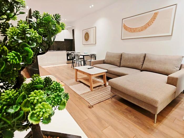 Modern central building apartament with view