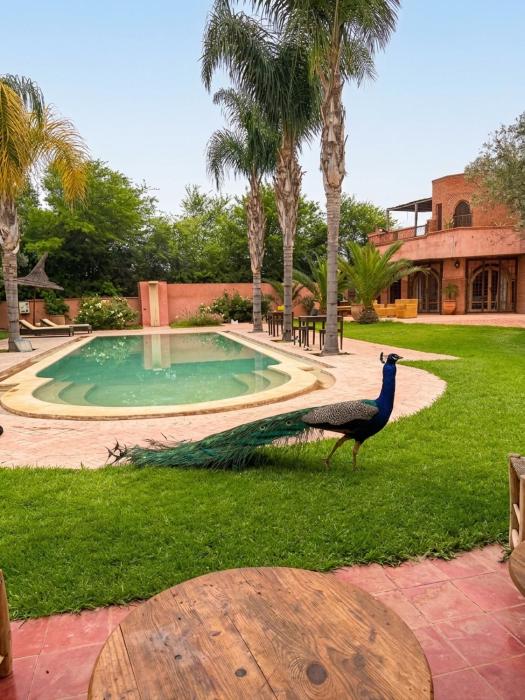 RIAD - Jnan Bnati - Pool