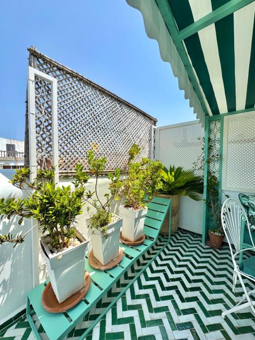 Stunning Apartment with Panoramic Rooftop Terrace