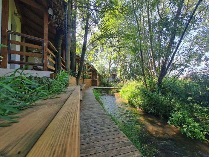 Apartament nad Przykopą