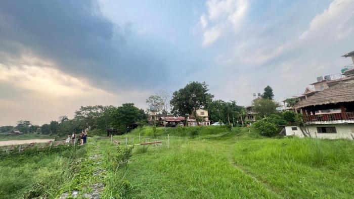 Jungle Wildlife Camp