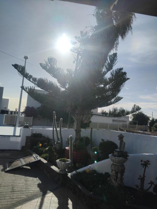 Apartamento Los Chinijos