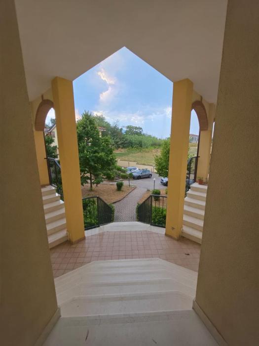 Alex Holiday House