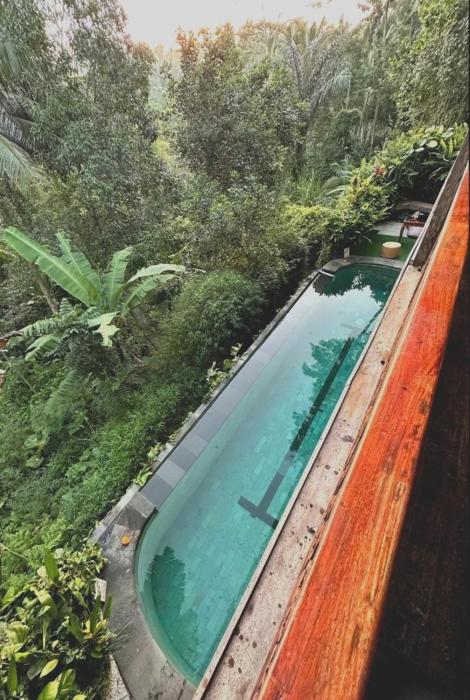 Villa Cempaka- The Water Portal