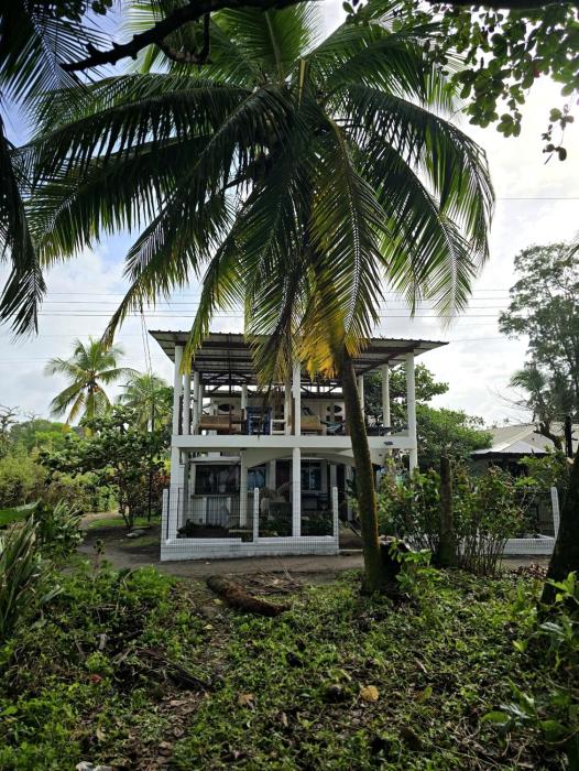 Hotel Pura Natura Beachfront Tortuguero