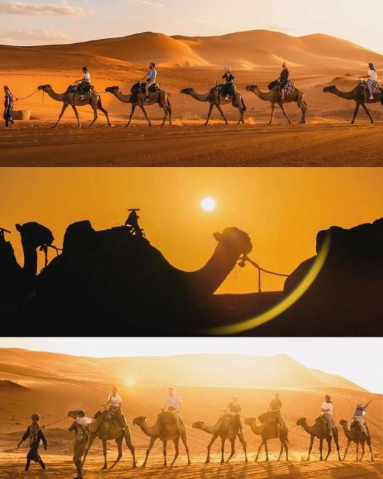 Dar Gamra