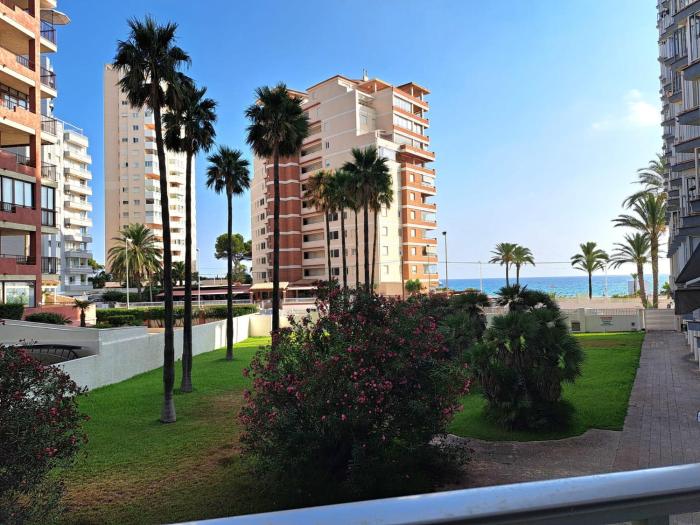 Apartament Olivo