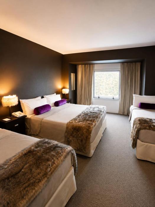 hotel apartusr