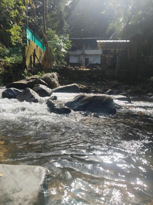 Creekshore Home Stay
