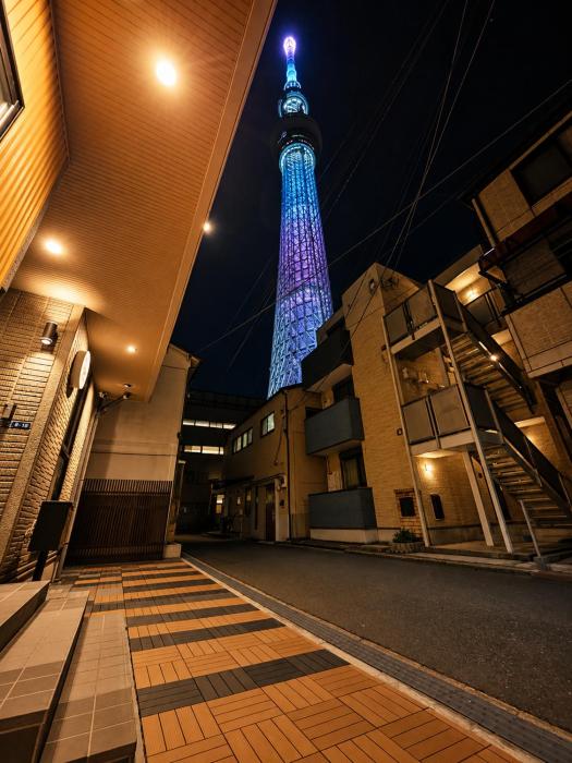 Sky Link Hotel Tokyo