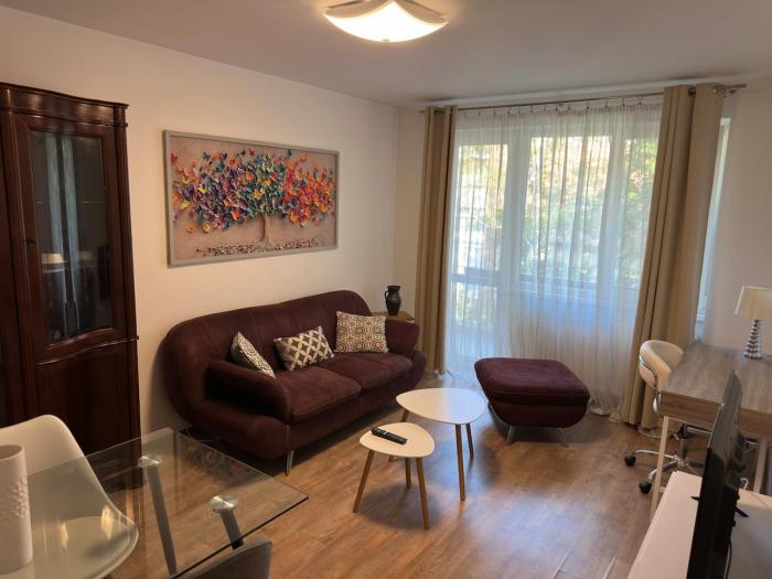 City Center Apt