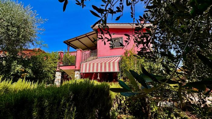 Bed&Breakfast degli ulivi