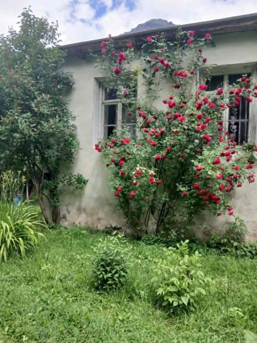 Guesthouse Bakho