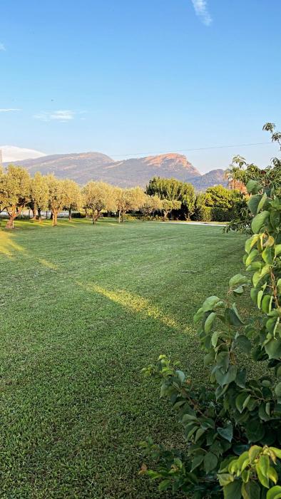Dimora tra gli ulivi del Cilento