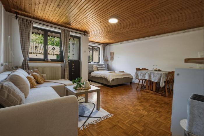 Apartment Vineyard nook Lendava