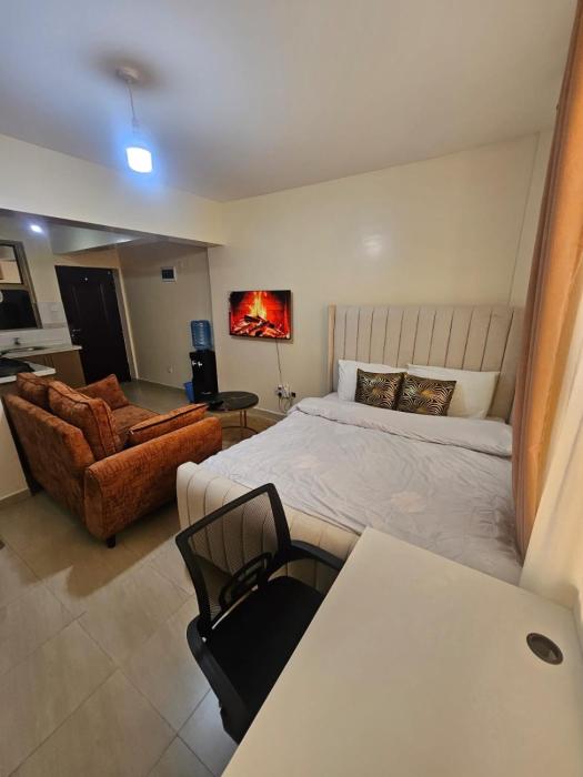 Fully furnished spacious studio apartment