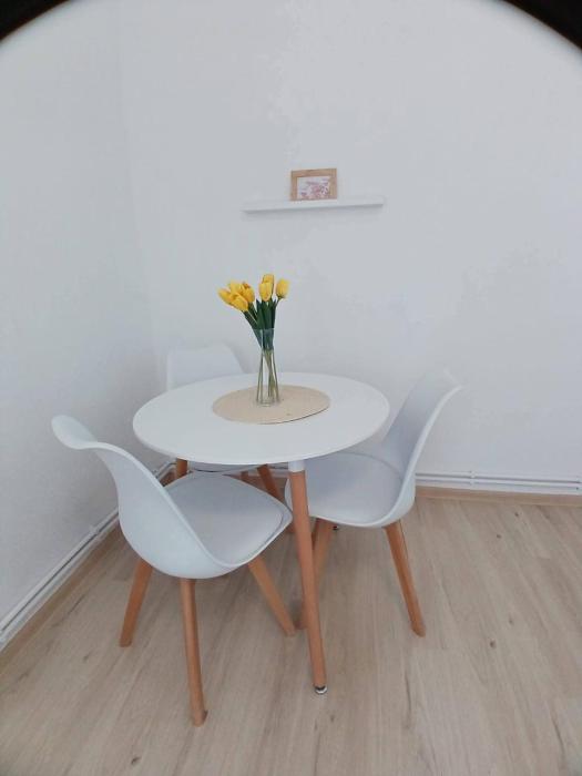 Apartament 1 camera , Garsoniera