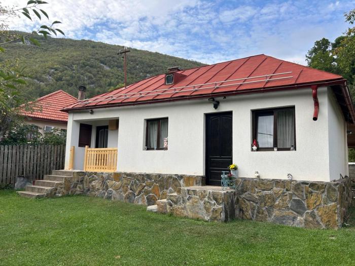 Casa de la țară Albinuța Călătoare