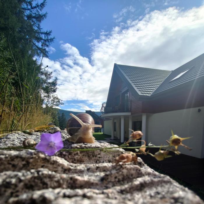 Apartament Jelonek